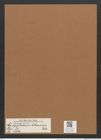 Campylodiscus hibernicus Ehr. (de-Toni-Nr.: Genus 57, Species 2504) Zeichnungen Sammlung Grunow Mappe 02665 (Herbarium_W_Grunow_drawings_Folder_02665)